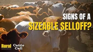 Is there fear of a sizeable sell off? | 3/19/25 Cattle Call