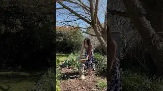 Cleaning The Bird Bath #birds #birdbath #cleaning #gardenmaintenance