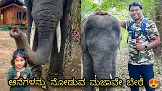 Interaction with Elephant's | ಸಕ್ರೆಬೈಲು ಆನೆ ಬಿಡಾರ | Season - 1 Eps - 5