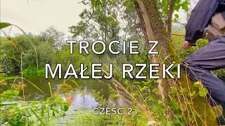 TROCIE z MAŁEJ RZEKI cz. 2 | Z nurtem przygody #5