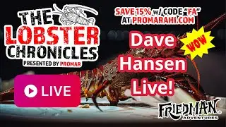 🔴 LIVE Lobster Chronicles: Hoop Netting Secrets w/ Dave Hansen &ndash; Tips, Hot Spots & Your Q&A! 🦞