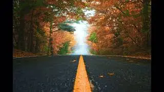 autumn playlist for sad souls
