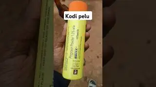 kodi pelu