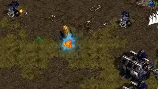 Artosis vs 900 ladder points player?