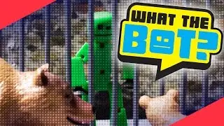 What the Bot? 💩 | The Zoo