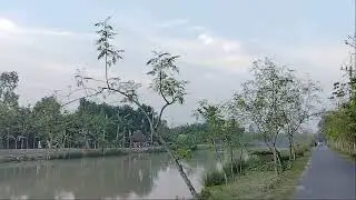 নীল সাগড়