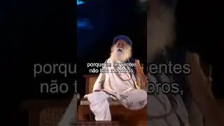 A vibra&ccedil;&atilde;o que voc&ecirc; emite te molda