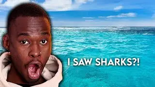 I WENT INTO THE OCEAN?!! | CAPE TOWN VLOG