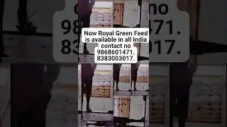 Now Royal Green Feed is available in all India contact no 9868601471. 8383003017.