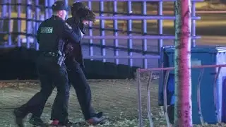 Attacker with sword kills two, injures five in Quebec stabbings