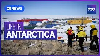 The ‘joy and the terror’ of working in Antarctica | 7.30