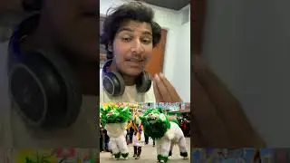 All about Snow Lion, a cultural symbol of  Assam 💖 #shorts