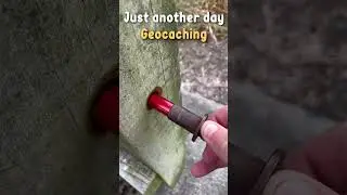 #geocaching #newzealand #geocachingvlogger #trending