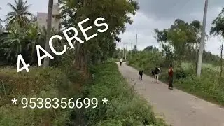Ov) 4 ACREs | A NATURAL PARADISE | TAR ROAD | COCONUT TREE'S | CALL-9538356699@SurabhiProperties
