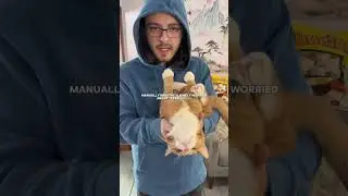 У Tetra худший наставник из всех возможных&hellip;