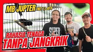 [MB JUPITER] Murai JUPITER MAIN SUJUD murai batu jemur sauna tenaga murai batu Gaya Murai HoBi ID