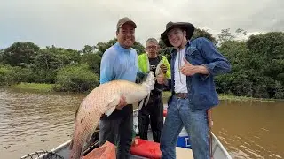 Este es el Pez Más GRANDE el  PIRARUCÚ