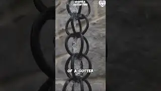 This is a rain chain #shorts #friendlyclipper #satisfying