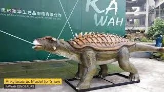 Ankylosaurus Model for Show