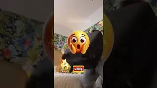 Was passiert wenn die Frau im Koffer ist!