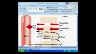 Tubular Reabsorption-1