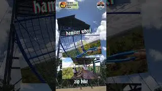 Hamster wheel and zip bike experience @danaoadventurepark8109  #hamsterwheel #zipbike #shorts