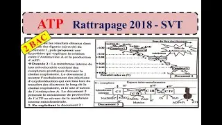 Rattrapage 2018 SVT    (ATP)
