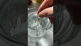водочка животворящая 😂 