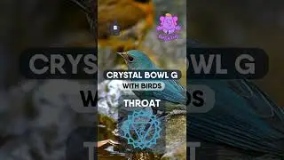 Singing Crystal Bowl in G with chirping birds Vishuddha Chakra ASMR