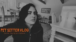 Smile, You're on Camera &mdash; pet cams & awkward conversations