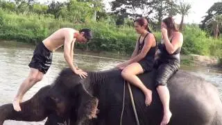 Elephant Adventure In Thailand