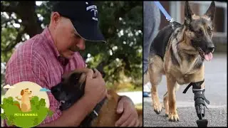 Heroic Navy Seal Rescues Retired &ldquo;Unadoptable&rdquo; Military Dogs