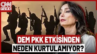 DEM Süreci Sabote Etmenin Mi Peşinde, Neden YPG'nin Yanında Yer Alıyor?