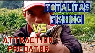 totalitas fishing vs attraction predator