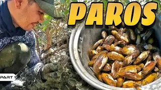 P1 - Nagtutumpukan sa Isang Pwesto ang mga Paros - EP1618