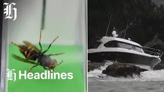 NZ Herald Headlines | Wednesday, January 21, 2026