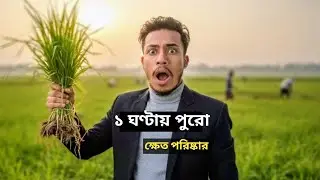 জমি পরিষ্কার করার সহজ পদ্ধতি ও আজকের ব্যস্ততা | Grass Field Cleaning Vlog