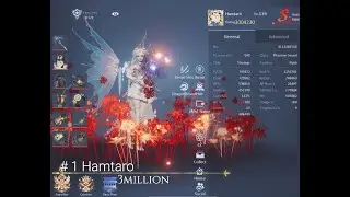 Dragon Raja Global NA Top 10 Rating Builds