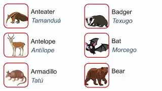 Curso de inglês passo a passo - Aula 131 - Mammals part 1