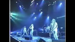 Golden Touch / Razorlight at Summer Sonic 2004