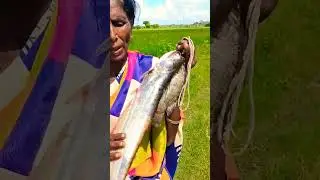 Full video 🍲👆🐟 link 🔗👆#Koorai# #veettu# #amma# #samaiyal# #shortvideos# ...