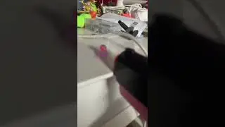 #diet #duck #gun