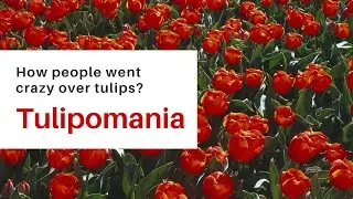 Tulipomania - First recorded speculative bubble of the 17th century market