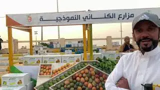 مهرجان المانجو ال ١١ بمحافظة القنفذة