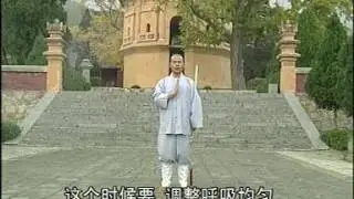 Shi de Yang - Shaolin Long Quan Jian