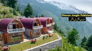 Sharan Forest | Kaghan Valley | KPK PAKISTAN #sharan #kaghan