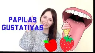 Papilas gustativas