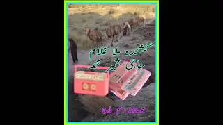 ١٢ يوليو، ٢٠٢٢