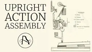 Upright Action Assembly
