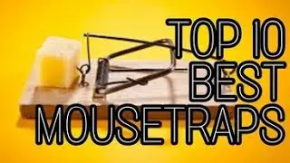 Top 10 Best Mouse Traps | Do It Yourself Pest Control | DIY Pest Control | Rodent Control | Vermin